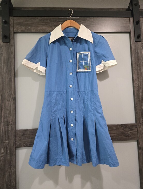 Samantha Pleet Dresses & Skirts - Samantha Pleet Embroidered Window Plant Dress Blue Size Small - See Description